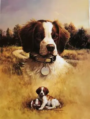 Larry Chandler Springer Spaniel Hunting Dog Art Print 18 X 24 • £19.23