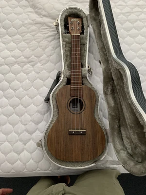 $250 • Buy Ashton Ukelele UKE500CBW Concert