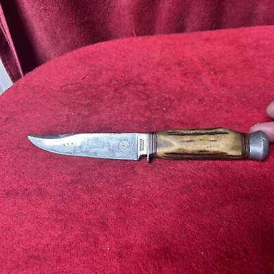 Vintage Rare Diegel Solingen Germany Stag Handle Fixed Blade Hunting Knife • $17