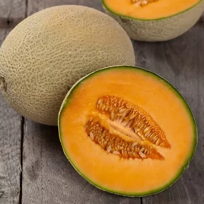 Hales Best Cantaloupe Seed NON GMO Hales Best Jumbo Cantaloupe 25 Seeds • $1.99