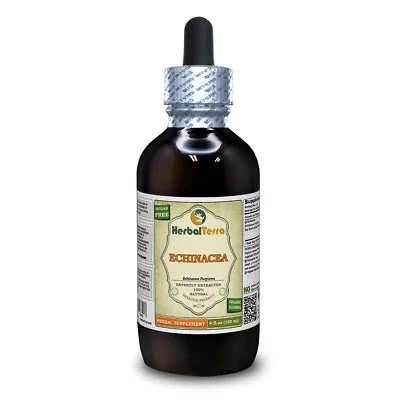Echinacea (Echinacea Purpurea) Tincture Organic Dried Herb Liquid Extract • $17.95