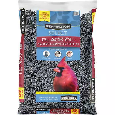 Pennington Select Black Oil Sunflower Seed Wild Bird Feed 40 Lb. Bag • $18.78