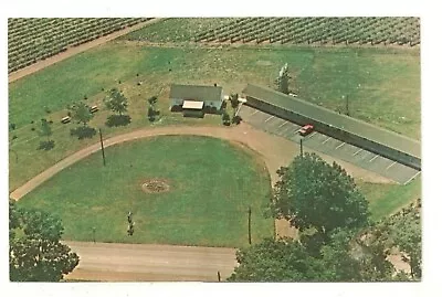 C1970 PC: Olson Motel - 5 Miles West Of Silver Creek NY On US Route 20 • $9.95