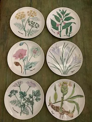 6 Horchow Collection Plates Botanical Herbs Seeds Porcelain Japan 7.75  Vintage • $42.97