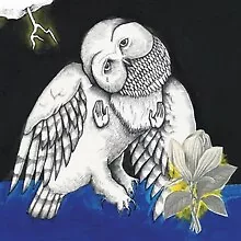 Songs  Ohia - The Magnolia Electric Co - New Vinyl Record - J1398z • £43.14