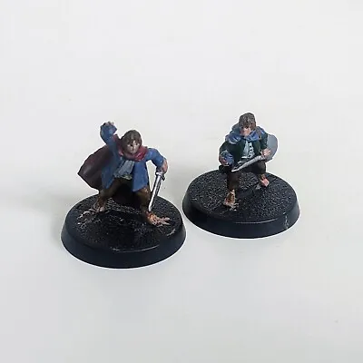 Frodo & Sam Hobbit Painted Plastic Warhammer / Lord Of The Rings Miniatures • £11.99