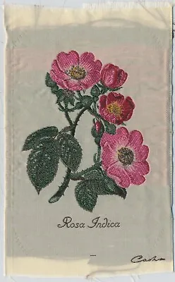£4.95 • Buy J & J Cash Of Coventry Vintage Silk Woven Flower Rosa Indica C19