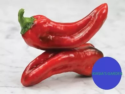 Marconi Red Sweet Pepper - 250 Mg ~30 Seeds -heirloom Non-gmo Vegetable Garden • $2.99