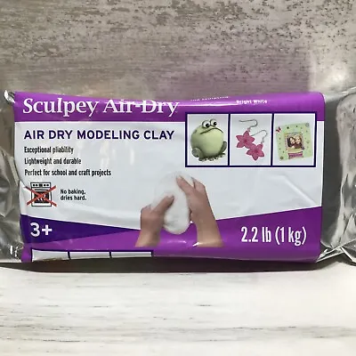 Sculpey Air Dry Modeling Clay Stamping Texturing Molding Sculpting Jewelry • $23.95