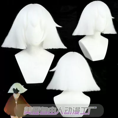 Game Mushroom New Party Hairpiece Cosplay Fashion Otaku Full Sky White Wigs Gift • $29.99