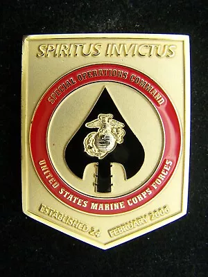 US Marine Corps Special Operations Command MARSOC Raiders Challenge Coin • $24.99