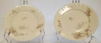 Antique Vintage Austrian Habsburg China Decorative Salad Plate Set Of 2 Floral • $14.95