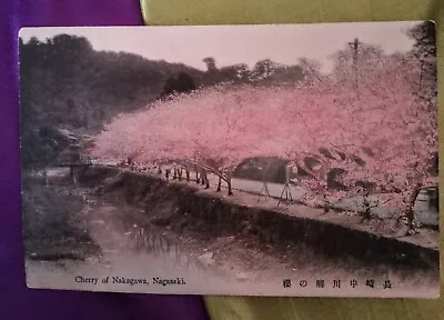 Antique Cherry Of Nakagawa Nagasaki Japan - Hand Painted - Unposted Postcard • $9