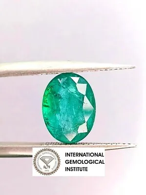 2.47ct IGI CERTIFIED  Zambian Emerald 100% Natural Emerald • $299