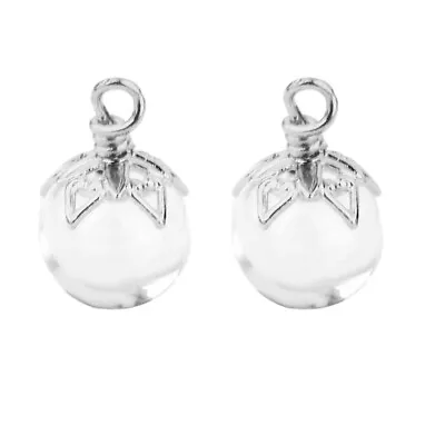 $7.87 • Buy 2Pcs Mini Glass Bottle Jars Vials Wishing Bottle Pendant Silver Flower  