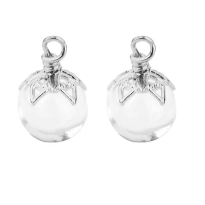 $7.87 • Buy 2Pcs Mini Glass Bottle Jars Vials Wishing Bottle Pendant Silver Flower  