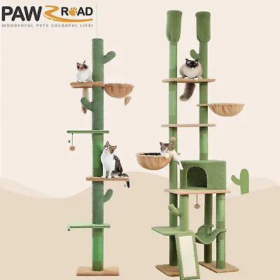 PAWZ Road Cat Tree Tower Scratching Post Scratcher Cats Ceiling High Condo House • $72.99