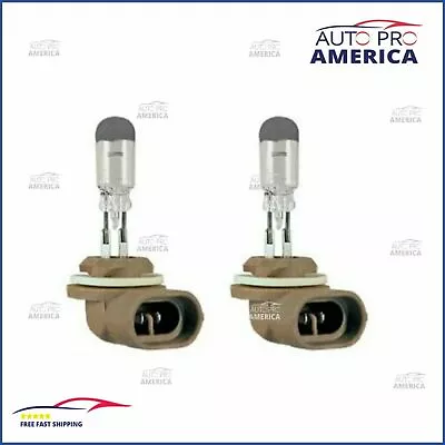 OEM Halogen 896 27W WHITE Two Bulbs Fog Light Plug Play Replacement Lamp Fit • $14.90