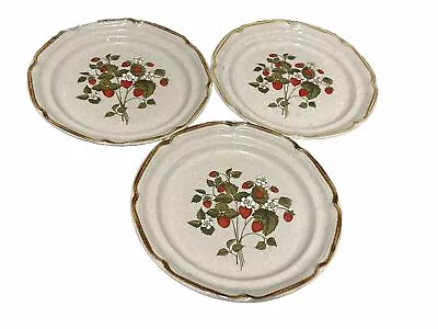 3 Vintage Sunmarc La Fraise Strawberry Endura Collection Salad Plates Japan 6856 • $19.99