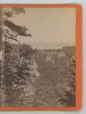 Treetops Across Mountains Ithaca NY New York D.L. Elmendorf Stereoview • $9.99