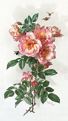 Wild Roses By Paul De Longpre (Art Print Of Vintage Art) • $12.95