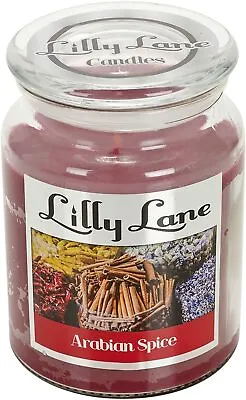 Lilly Lane Aromatic Scented Large Fragrances Infusion Candles Glass Jar 18oz New • £9.99