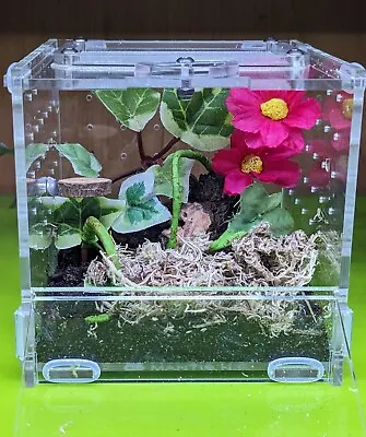 Mantis / Jumping Spider Enclosure Full Set Up  - Decor Included - Nymphs & Juvi • £22.95