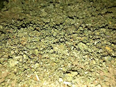 Mullein & Marshmallow Smokin-Hot Herb Leaf Blend ORGANIC Mix - 1 2 4 8 Oz Lb  • $12.92