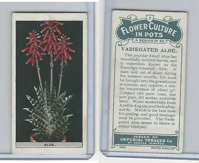 C13 Imperial Tobacco Flower Culture 1925 #3 Variegated Aloe • $3.40