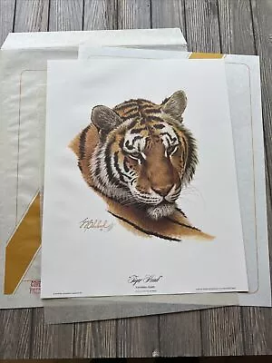 Vtg 1975 Guy Coheleach SIGNED  Tiger Head  Panthera Tigris Lithograph 16” X 21” • $257.99