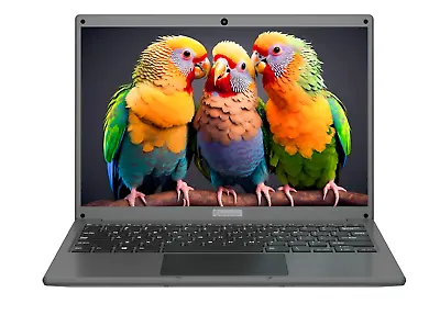 LeoBook 13 Laptops Office  School Adreamer Notebooks Windows 10 Netbook 13  Inte • $499.99