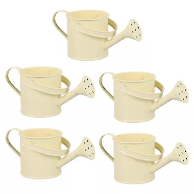 Vintage Flower Bucket Vase Rustic Watering Can Pitcher Jug Kettle • $31.25