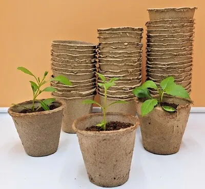 Seed & Plant Propagation Flower Pots - Biodegradable Round Paper Fibre Pots -6cm • £3.55
