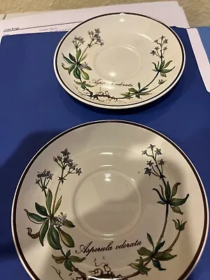 Villeroy Boch Botanica Porcelain Saucers Set Of 2 • $10