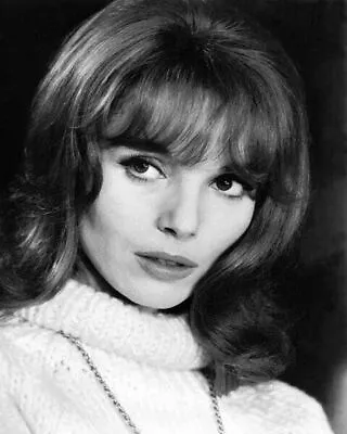 Elsa Martinelli Beautiful 1960's Portrait In White Sweater 8x10 Inch Photo • $10.99