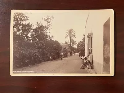 Antique Cabinet Card Of A Beautiful Street Scene In Cuautla Mexico ~W.H. Jackson • $14.50