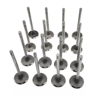 Intake Exhaust Valve Kit 16 PCS For Daewoo Nubira CDX Wagon 5-Door 2.0L 1998CC • $32.44