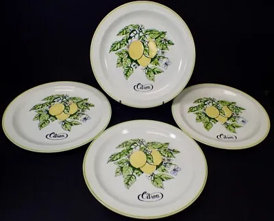 Rare (4) Stoneware Dinner Plates Citron Weiss For LARMOD Attilio Baschera Brazil • $39