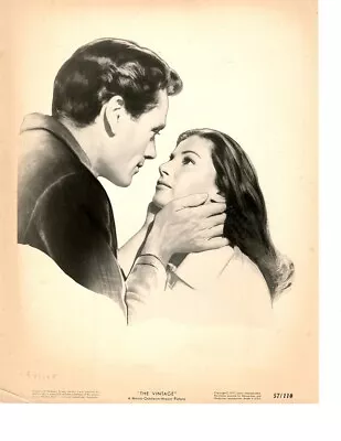 Original 8x10 B&W Movie Still  The Vintage  (1957) #2 • $7