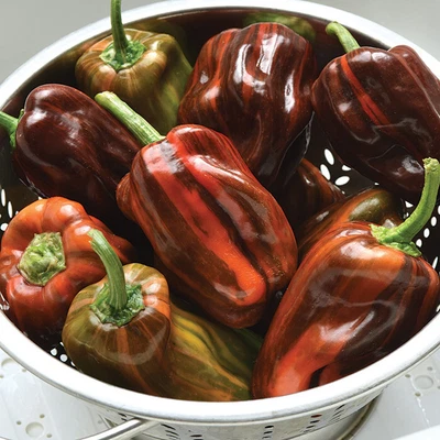 $6.99 • Buy Organic / Non Gmo / Candy Cane Pepper Seeds - 30