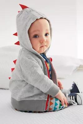 Baby Boy Kids Cute Jacket Dinosaur Hoddie 1Y-3Y • $28.50