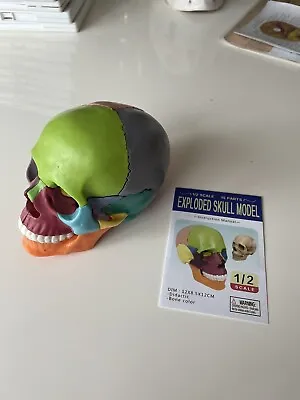 £15 • Buy Exploding Skull Model
