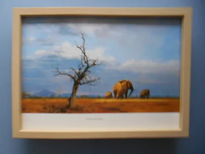 David Shepherd Print 'Stormy Evening' Elephants  FRAMED • £23