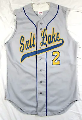 Game Worn Wilson Salt Lake Baseball Jersey Sz 44 Vtg 80s 90s SLCC ? Buzz Bees #2 • $74.99