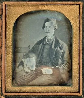 1840s DAGUERREOTYPE Photo EARLIEST KNOWN IMAGE Of AMERICAN PIT BULL TERRIER DOG! • $1250