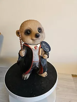 Brand New  Harry Potter Wizard Baby Meerkat Vivid Arts-Home Garden Ornament Gift • £29.99