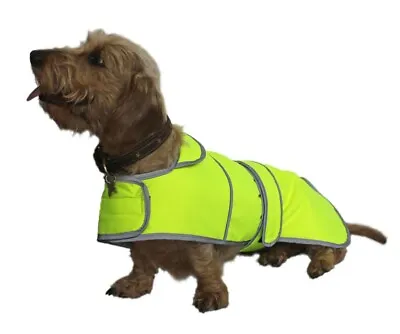 Hi Visibility Safety Dog Coat Designed Specifically  Dachshund  • £28.99