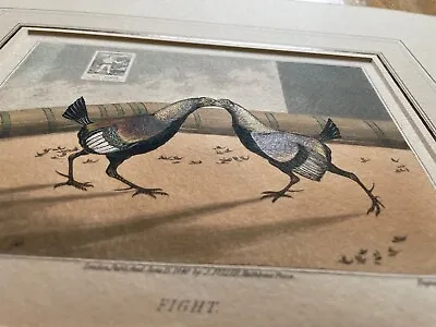 Cock Fighting Set Of 4 1840 Original Reeve Alken Engraving Old English Game OEG • £140