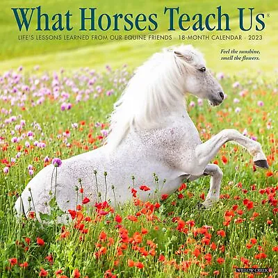 $15.95 • Buy What Horses Teach Us - 2023 Wall Calendar - Brand New - 28148