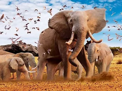 ELEPHANT AND BABIES - 3D ANIMAL PICTURE 400mm X 300mm (NEW) • £7.95